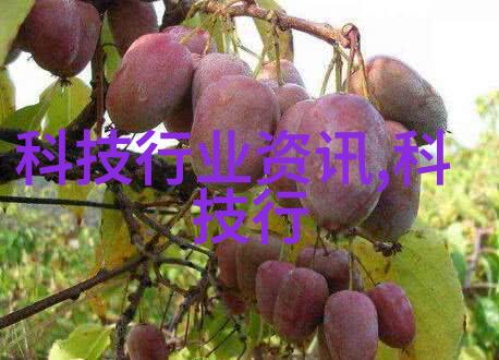 2023华为逆袭破解芯片枷锁重燃科技希望