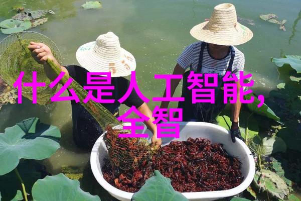 设计房子装修我是怎么让自己的小窝变得温馨又时尚的