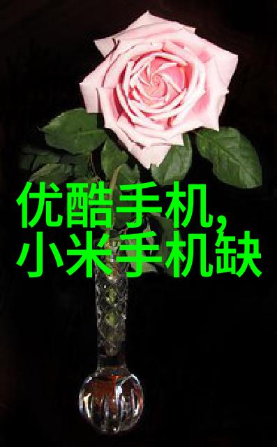 耐腐蚀陶瓷填料的创新应用与不锈钢结合技术