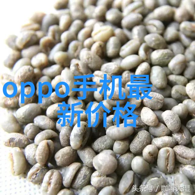 家居美学全包圆装修的真实价格