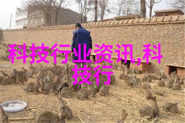 动物实验室设备高精度生物分析仪器