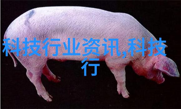 家用除湿机让干燥生活更舒适的智能解决方案