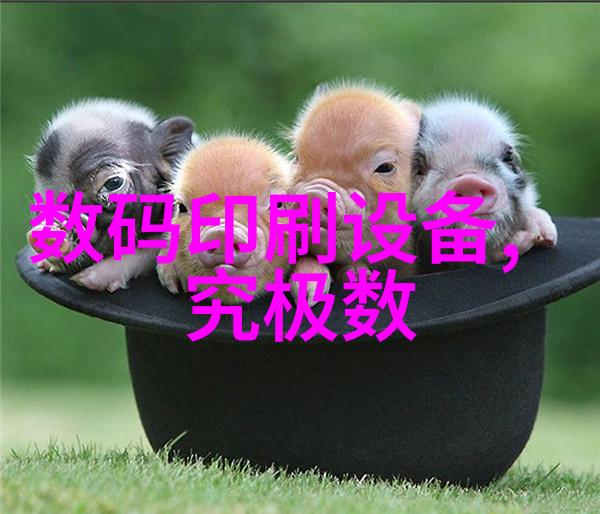 弹性填料与组合填料的区别探究材料选择的关键因素