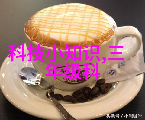 撰写高效报告书的艺术精选范文与实用技巧
