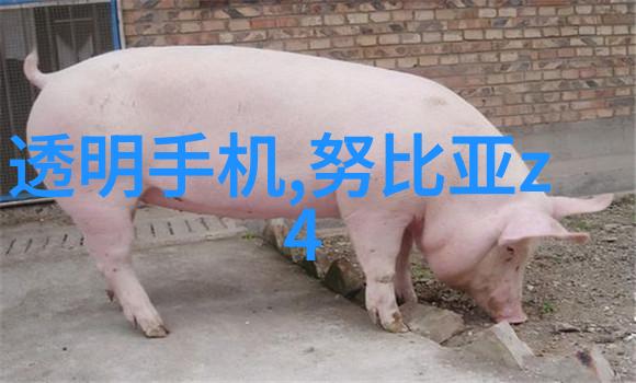 检测水质的科学之旅揭秘家中水源安全探究