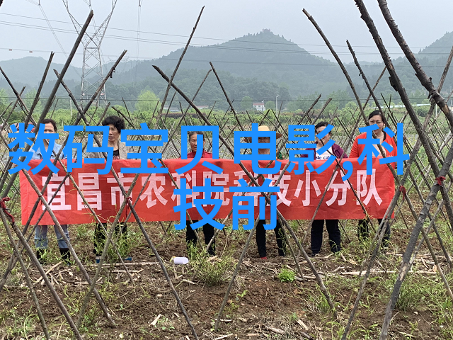 气体我是如何在家里用一台小机器变出天然香氛的