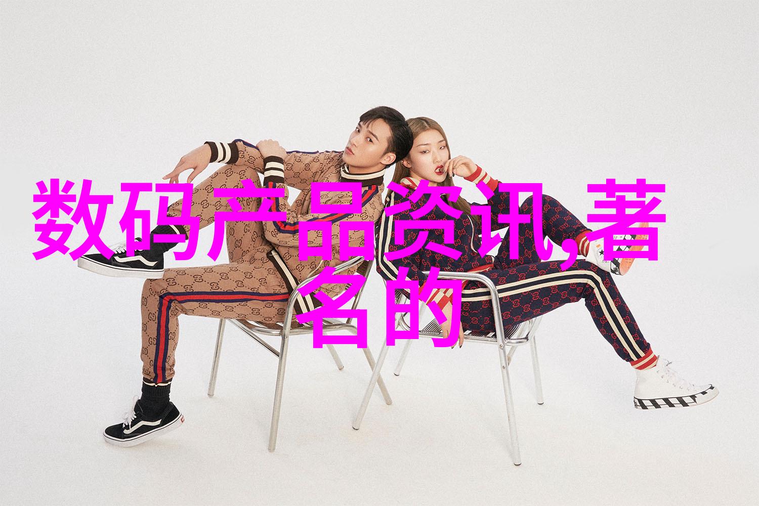 芯片的守门者隐秘世界中的电子先锋