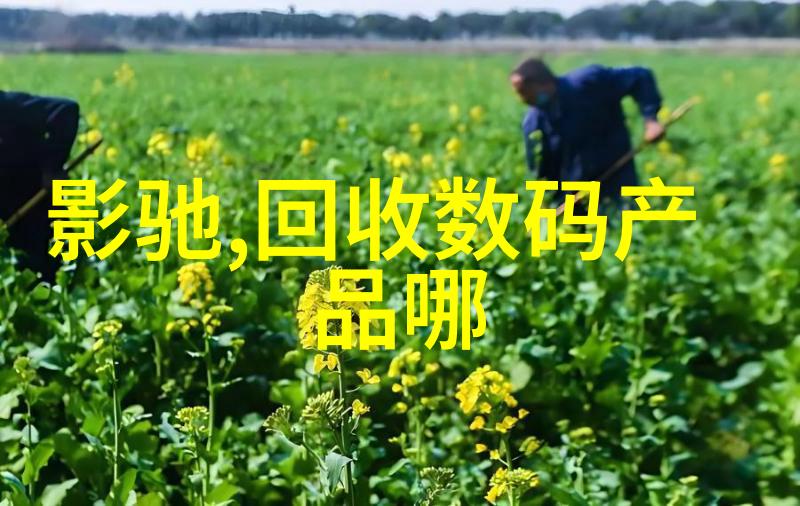 数字化生活的门户探索应用商店的无限可能