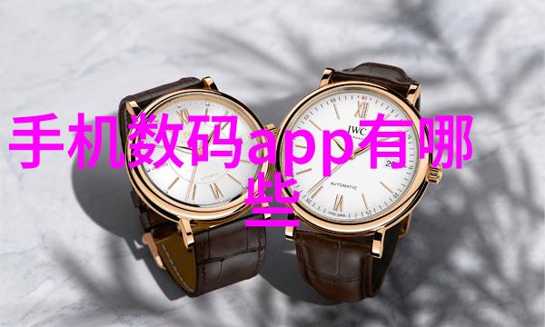 为何选择不锈钢陶瓷填料其特点是什么