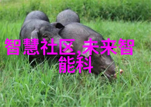 英语老师遭强制抄课事件教育不公权力滥用
