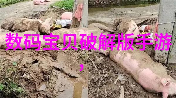塔填料的种类及图片 - 彩色世界探索各种类型的塔填料与精美图像