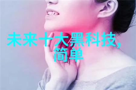 反应釜双端面机械密封安全与效率的双刃剑