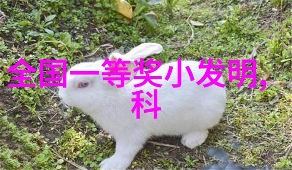 请求拨款的请示书