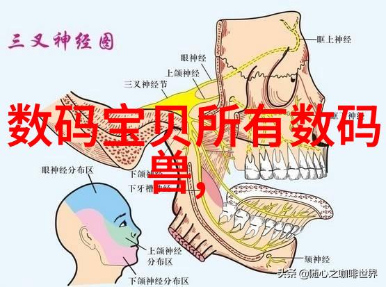 化工颗粒剂机械我来教你如何选择一台靠谱的颗粒化机器