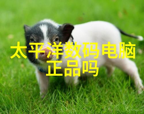 测量水分的精密仪器水分计的科学与艺术
