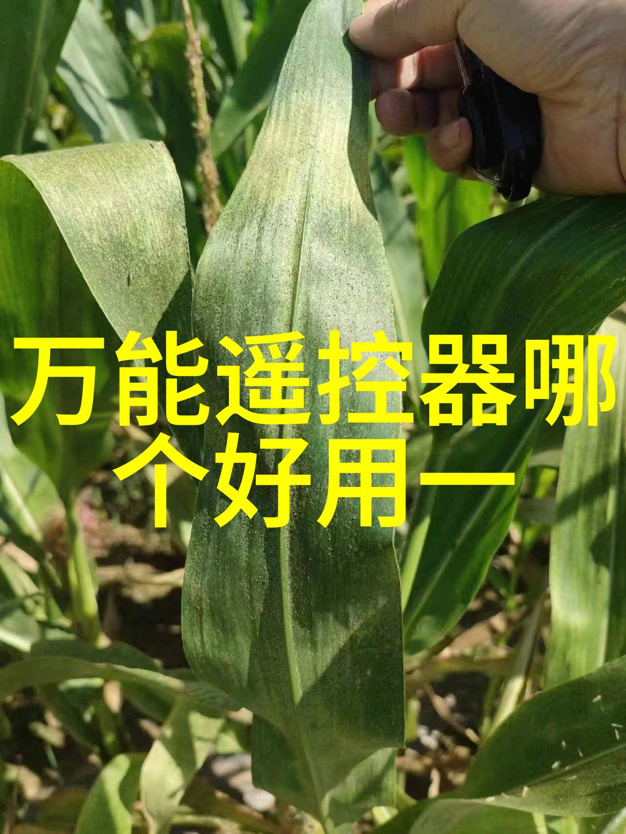 弹指一挥间淘米弹弹堂2的创意与挑战