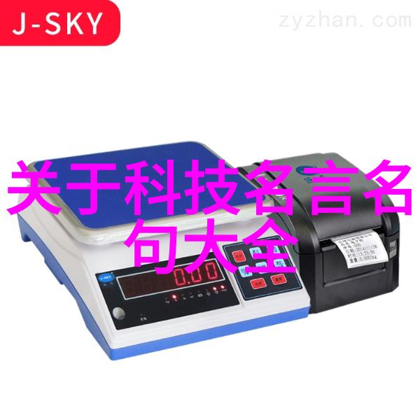 人才评估方法人力资源管理系统绩效考核体系职业发展规划技能测试评分行为观察评价