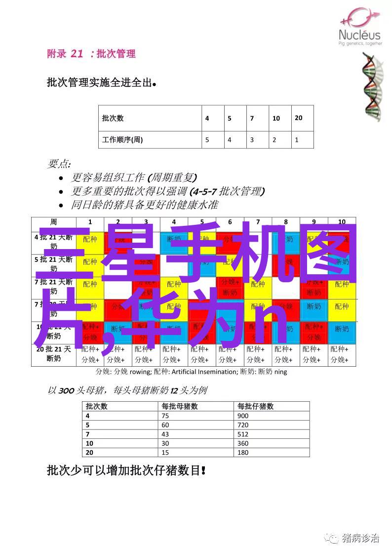移动式泥石分离机能否适用于不同规模的建筑工地