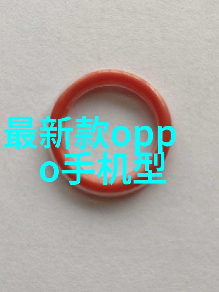 规整填料与散装填料两种生活态度的对比