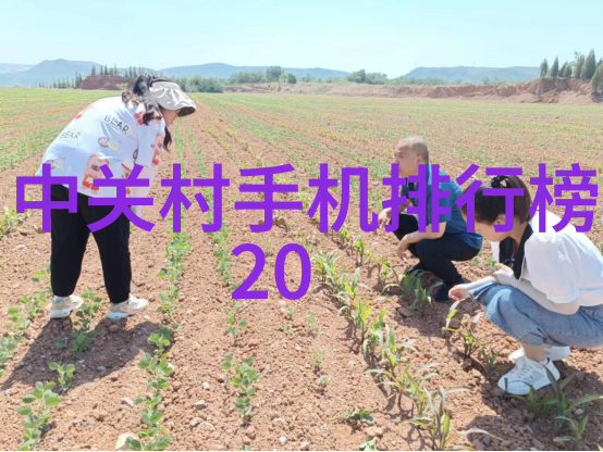 从携带方便到参数繁多探索水质测定仪的逆袭