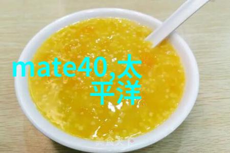 如何确保项目按时完成并保持预算控制