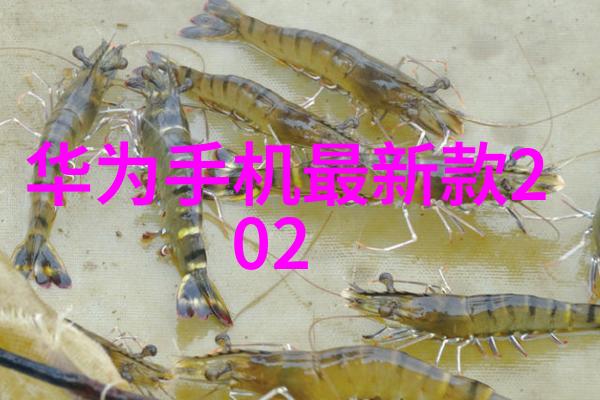 四川托普信息技术职业学院梦想的起点与智慧的播种