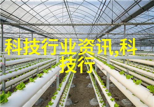 新冠病毒治疗指南专家提倡的三个关键药品是什么