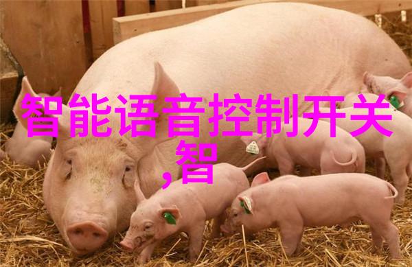 如何正确选择适合自己需要的水质检测仪器