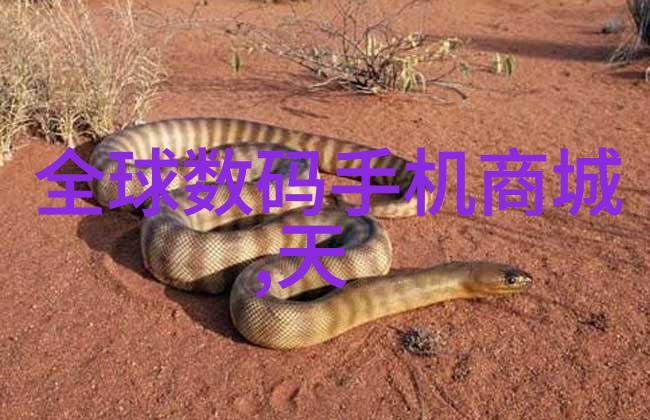 怀旧回忆-重拾时光1995年的风华与梦想