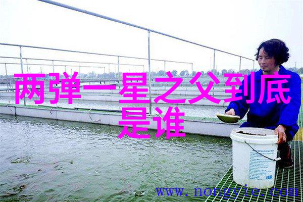 娱乐圈的魅力明星光芒与幕后故事演艺生涯中的高光时刻和艰辛历练