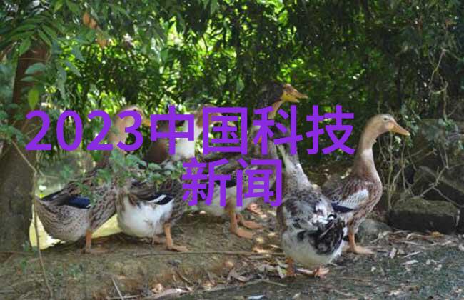危废处置第三方服务公司背后的秘密与挑战