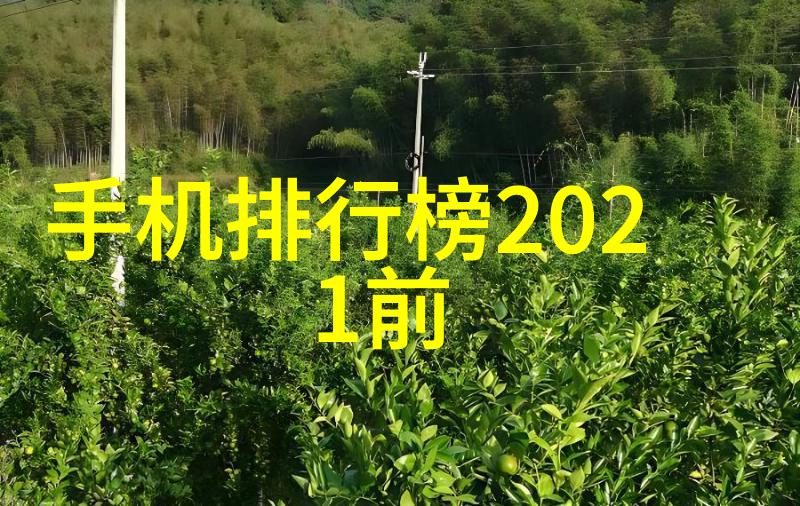 微波干燥技术的应用与优势分析