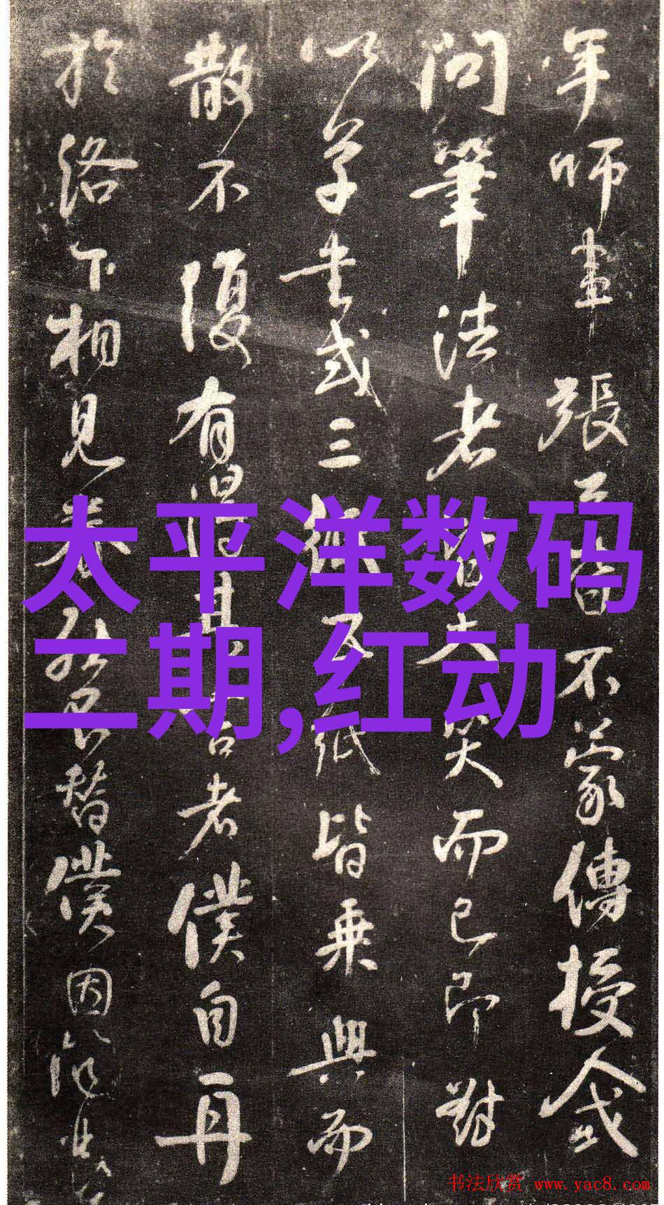 化工片剂机械的精确装填技术革新