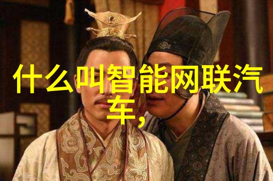锦鲤编程追逐数字梦想的技术活