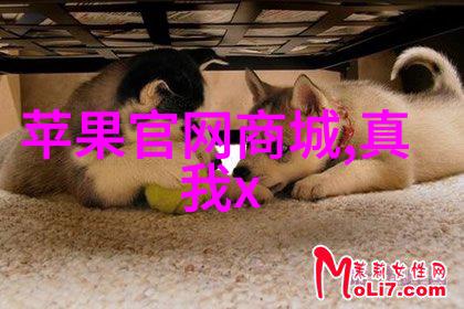 精密温度控制下的样本完美干燥实验室烘干箱的应用与技巧