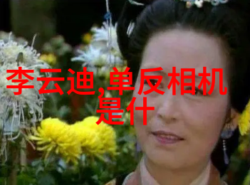 未来五年内哪些领域将是使用最广泛的应用场景呢