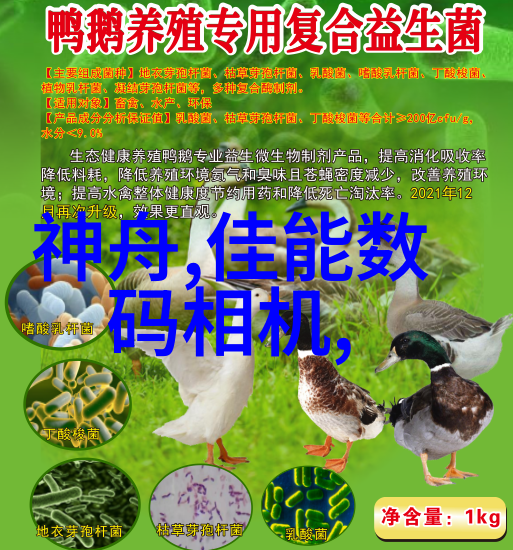 波纹之韵丝网填料的数学诗篇