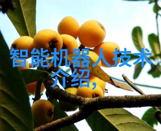 主题我是如何在家用结晶器里生长出美丽水晶的