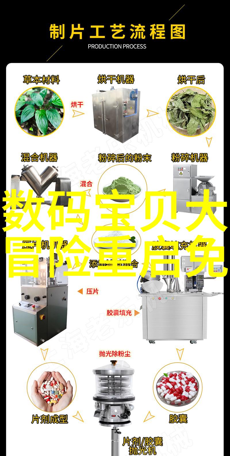 如何正确安装和维护卫生泵以确保其性能