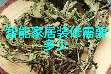 包衣机械穿越时代的工业翅膀