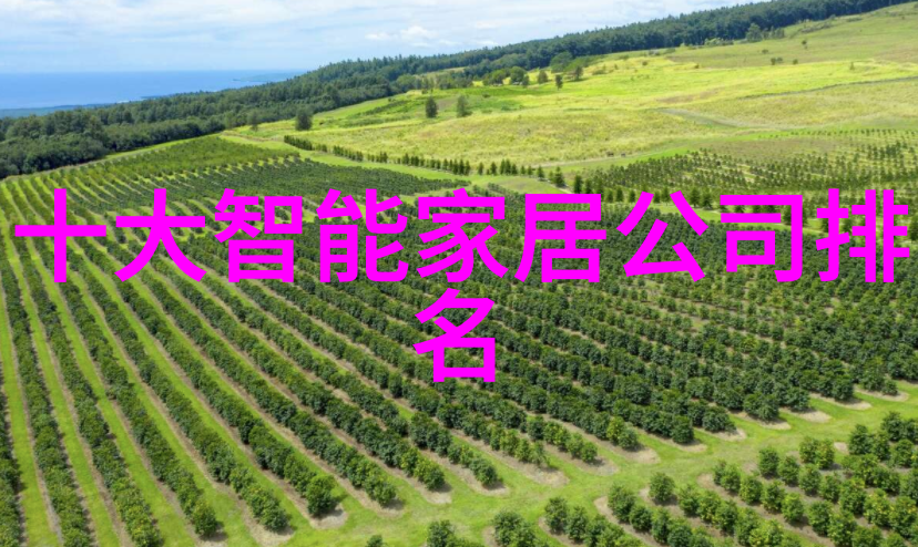 化肥破碎机分解效率的关键技术与创新应用