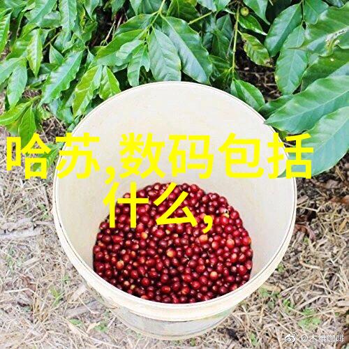 机器的智慧精准分选新纪元
