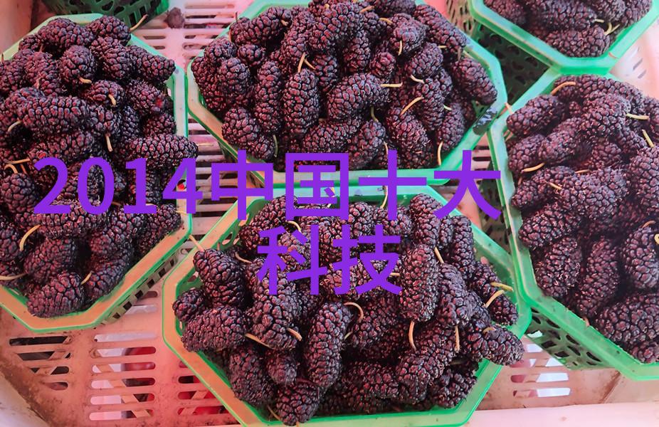 燃气蒸汽发生器的运作原理与应用广泛性