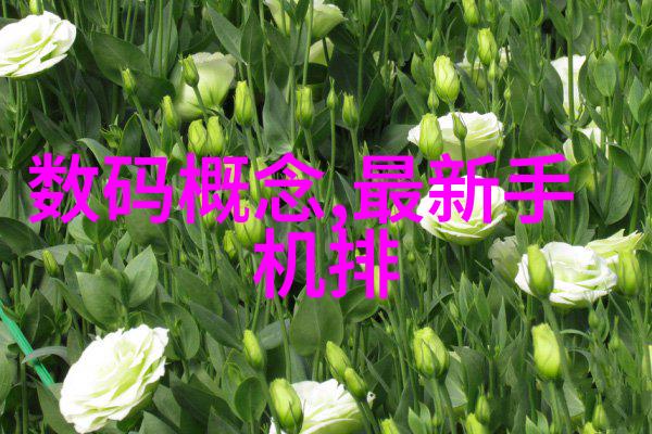 纤维之网中国塑料工业的未来探索