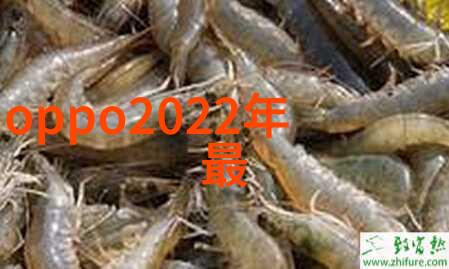 市场上常见的水质检测设备及其TDS测量精度比较分析