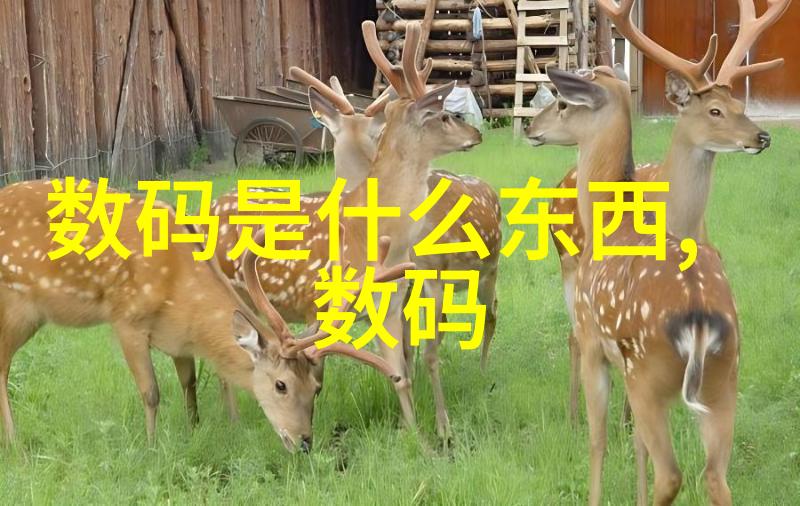 氧气活性增强器生产商介绍