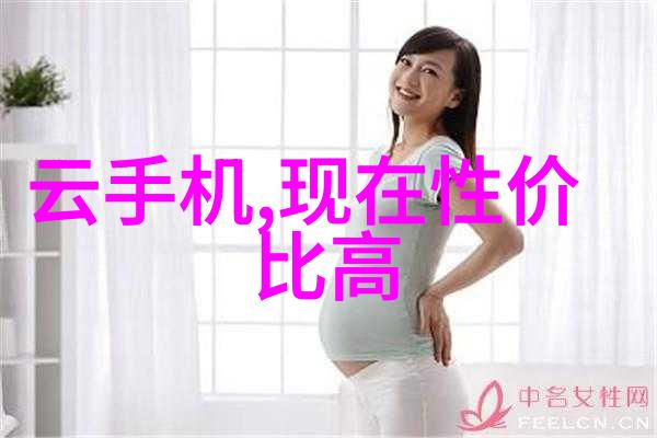 真空机技术高效压缩与储存的先进设备
