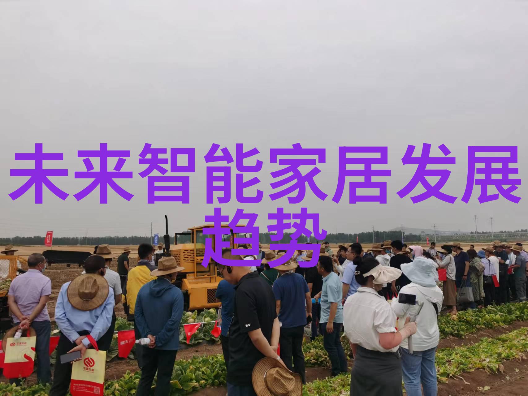 信息安全测评中心确保数据隐私的守护者与监视者