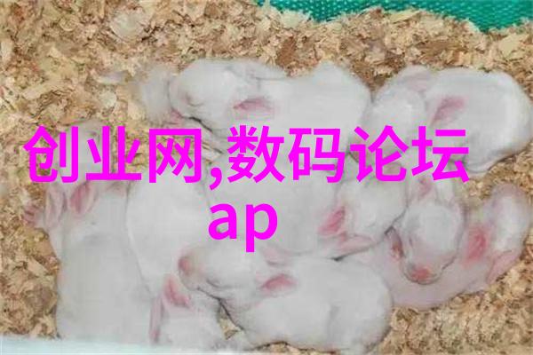 消毒灭菌我是如何在家中搞定每个角落的清洁大作战