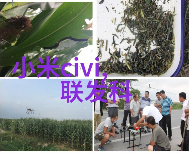 心灵探索如何有效地咨询心理医生